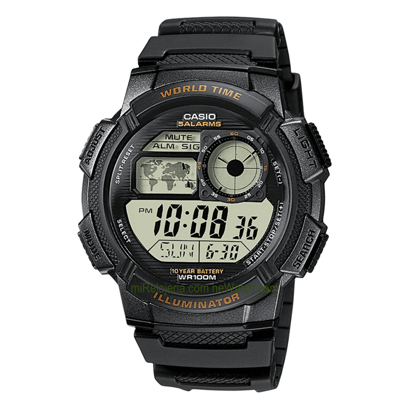 Men's Standard 10 years