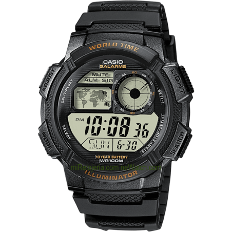 Men's Standard 10 years