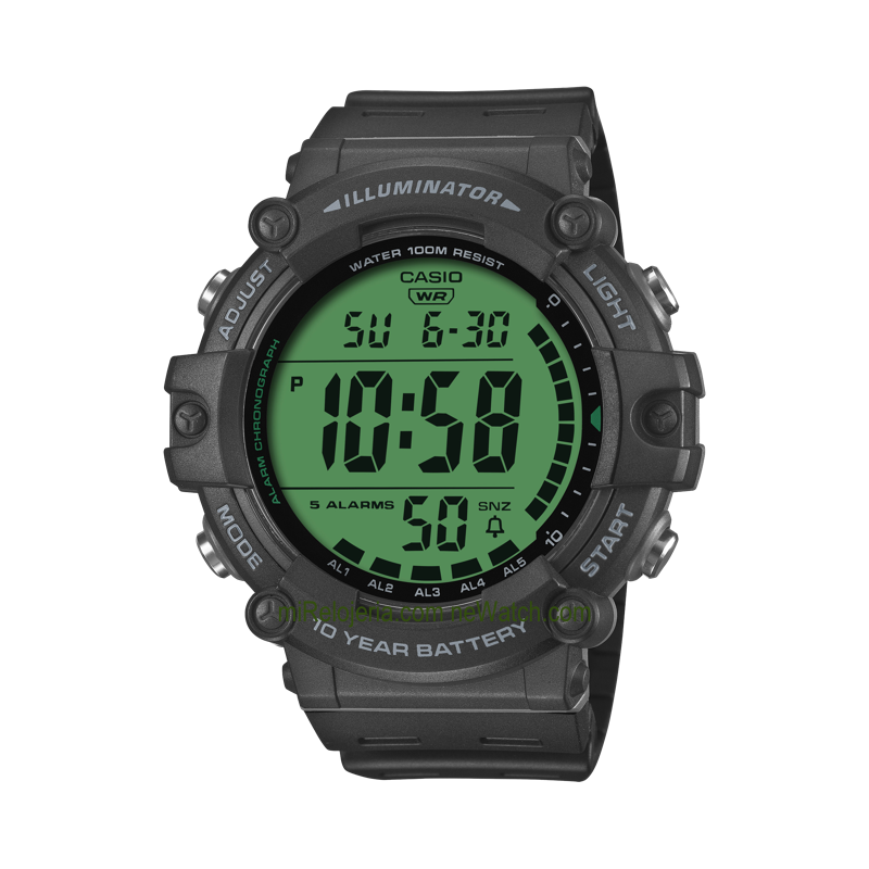 Men's Standard 10 years