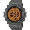 Men's Standard 10 years