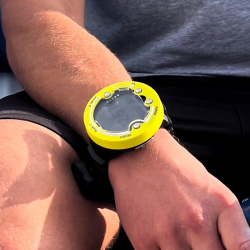 Zoop Novo Lemon Yellow
