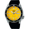 5 Sports SKX Street Style