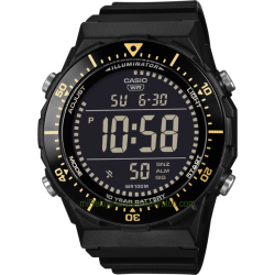Men's Standard 10 years