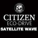 Citizen Satellite Wave