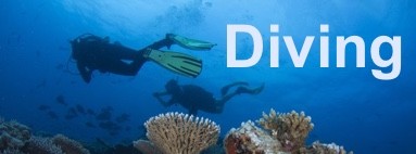 Relojes de Submarinismo y ordenadores de buceo